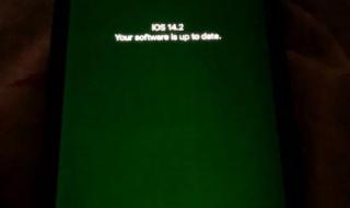 IPHONE12绿屏 IPHONE12绿屏