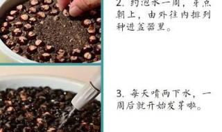 植树节小知识50字 植树节小知识50字